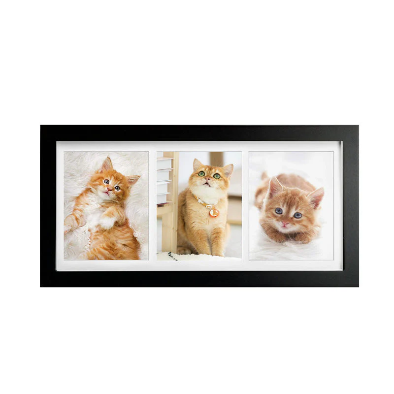Pet Paw Printing Kit - Image 14