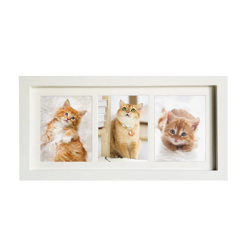 Pet Paw Printing Kit - Image 15