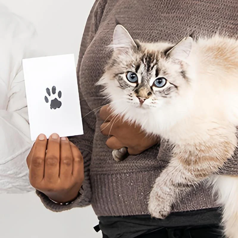 Pet Paw Printing Kit - Image 6