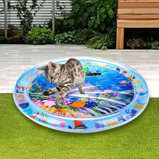 🔥55% OFF😽Pet Water Sensory Mat - Image 11