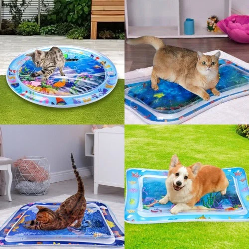 🔥55% OFF😽Pet Water Sensory Mat - Image 3